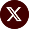twitter x social icon 