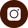 instagram social icon 